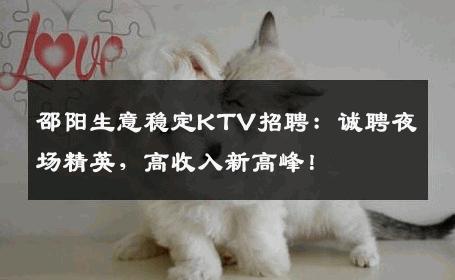 邵阳生意稳定KTV招聘：诚聘夜场精英，高收入新高峰！