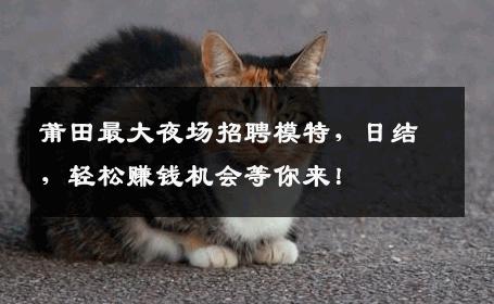莆田最大夜场招聘模特，日结，轻松赚钱机会等你来！