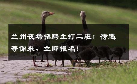兰州夜场招聘主打二班：待遇等你来，立即报名！