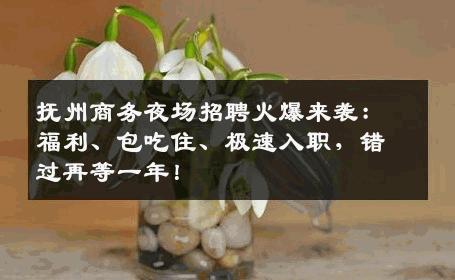 抚州商务夜场招聘火爆来袭：福利、包吃住、极速入职，错过再等一年！