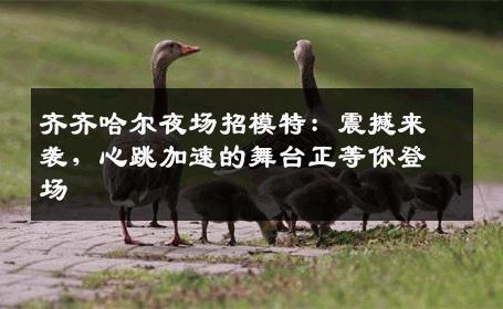 齐齐哈尔夜场招模特：震撼来袭，心跳加速的舞台正等你登场