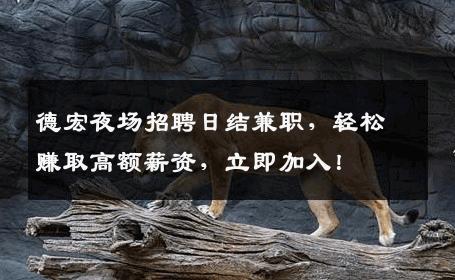 德宏夜场招聘日结兼职，轻松赚取高额薪资，立即加入！