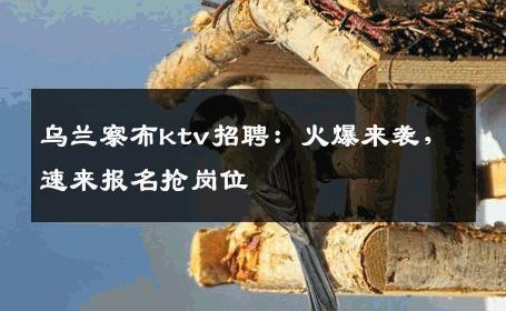 乌兰察布ktv招聘：火爆来袭，速来报名抢岗位