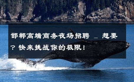 邯郸高端商务夜场招聘 _ 想要？快来挑战你的极限！