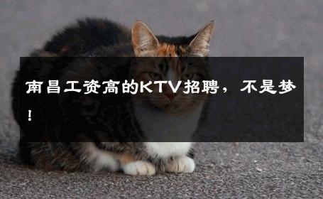 南昌工资高的KTV招聘，不是梦！