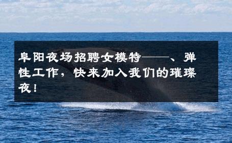 阜阳夜场招聘女模特——、弹性工作，快来加入我们的璀璨夜！
