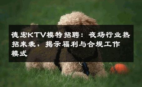 德宏KTV模特招聘：夜场行业热招来袭，揭示福利与合规工作模式