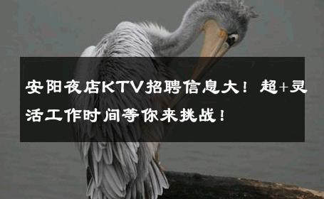 安阳夜店KTV招聘信息大！超+灵活工作时间等你来挑战！