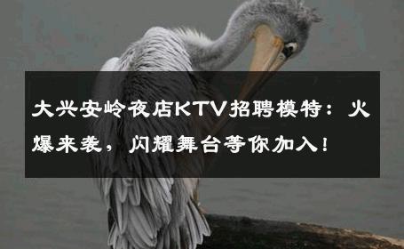 大兴安岭夜店KTV招聘模特：火爆来袭，闪耀舞台等你加入！