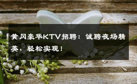 黄冈豪华KTV招聘：诚聘夜场精英，轻松实现！
