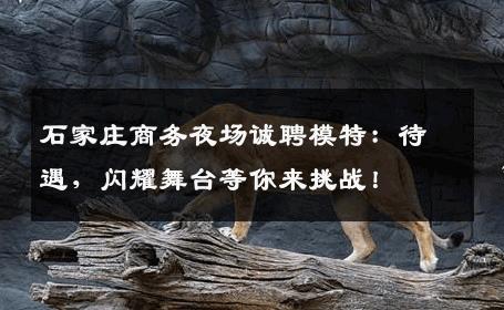 石家庄商务夜场诚聘模特：待遇，闪耀舞台等你来挑战！