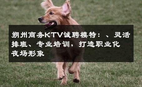 朔州商务KTV诚聘模特：、灵活排班、专业培训，打造职业化夜场形象
