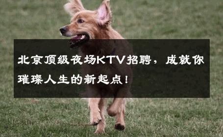 北京顶级夜场KTV招聘，成就你璀璨人生的新起点！
