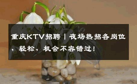 重庆KTV招聘丨夜场热招各岗位，轻松，机会不容错过！