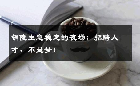 铜陵生意稳定的夜场：招聘人才，不是梦！