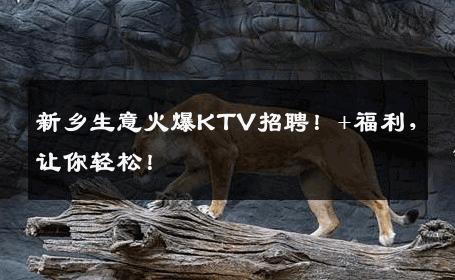 新乡生意火爆KTV招聘！+福利，让你轻松！