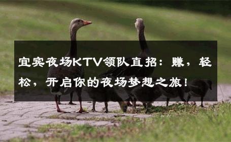 宜宾夜场KTV领队直招：赚，轻松，开启你的夜场梦想之旅！