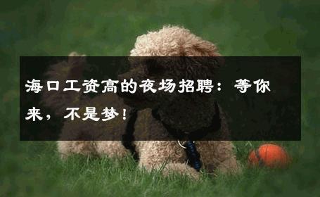 海口工资高的夜场招聘：等你来，不是梦！