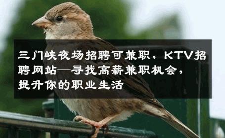 三门峡夜场招聘可兼职，KTV招聘网站—寻找高薪兼职机会，提升你的职业生活
