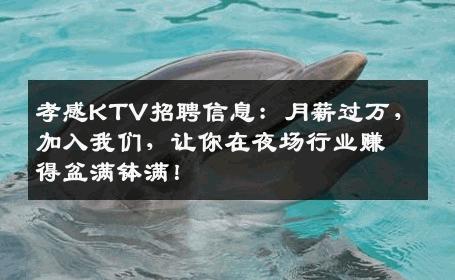 孝感KTV招聘信息：月薪过万，加入我们，让你在夜场行业赚得盆满钵满！