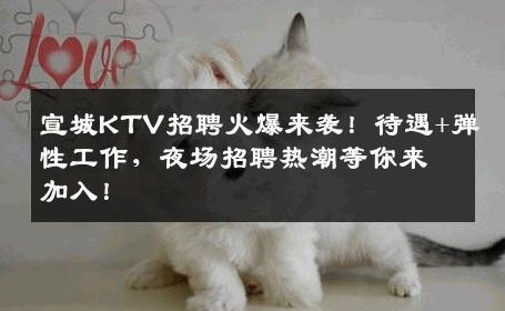 宣城KTV招聘火爆来袭！待遇+弹性工作，夜场招聘热潮等你来加入！