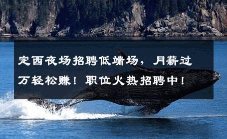 定西夜场招聘低端场，月薪过万轻松赚！职位火热招聘中！