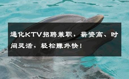 通化KTV招聘兼职，薪资高、时间灵活，轻松赚外快！