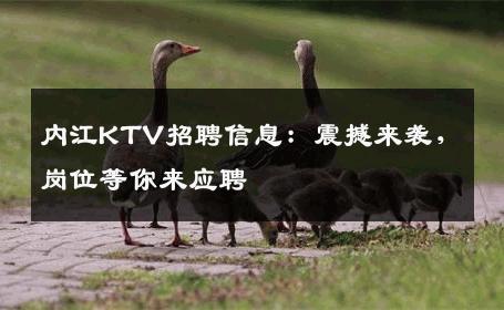 内江KTV招聘信息：震撼来袭，岗位等你来应聘