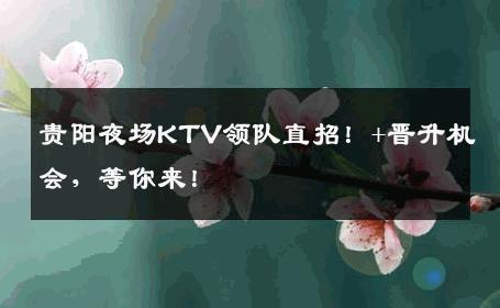 贵阳夜场KTV领队直招！+晋升机会，等你来！