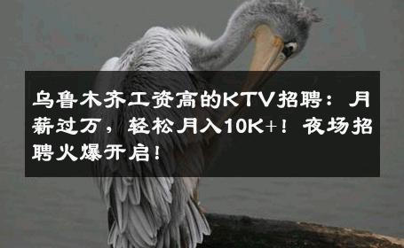 乌鲁木齐工资高的KTV招聘：月薪过万，轻松月入10K+！夜场招聘火爆开启！