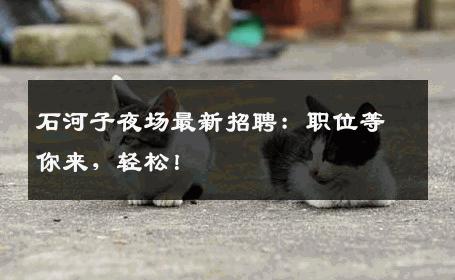 石河子夜场最新招聘：职位等你来，轻松！