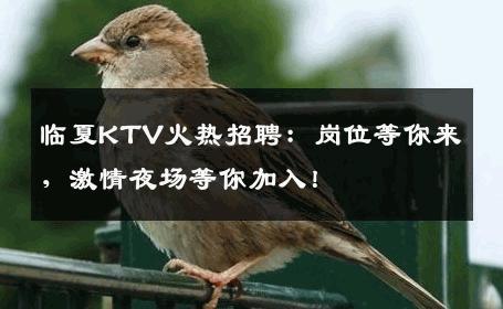临夏KTV火热招聘：岗位等你来，激情夜场等你加入！