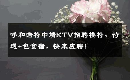 呼和浩特中端KTV招聘模特，待遇+包食宿，快来应聘！