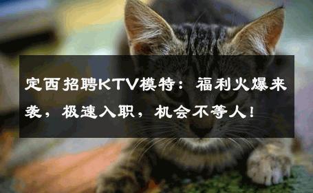 定西招聘KTV模特：福利火爆来袭，极速入职，机会不等人！