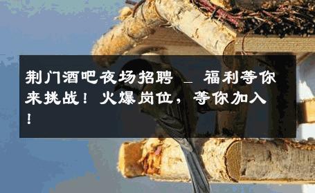荆门酒吧夜场招聘 _ 福利等你来挑战！火爆岗位，等你加入！