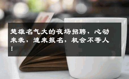 楚雄名气大的夜场招聘，心动来袭，速来报名，机会不等人！