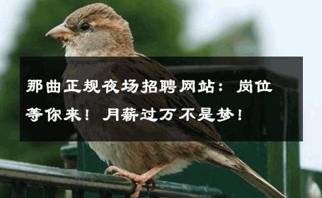 那曲正规夜场招聘网站：岗位等你来！月薪过万不是梦！