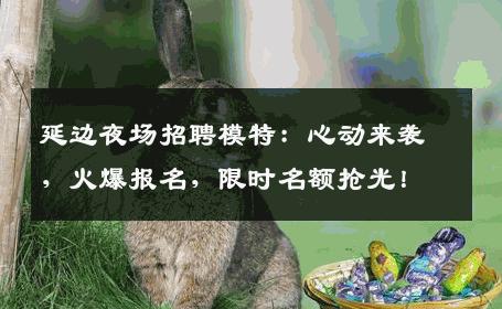 延边夜场招聘模特：心动来袭，火爆报名，限时名额抢光！