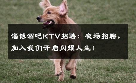 淄博酒吧KTV招聘：夜场招聘，加入我们开启闪耀人生！