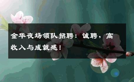 金华夜场领队招聘：诚聘，高收入与成就感！