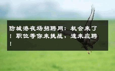防城港夜场招聘网：机会来了！职位等你来挑战，速来应聘！