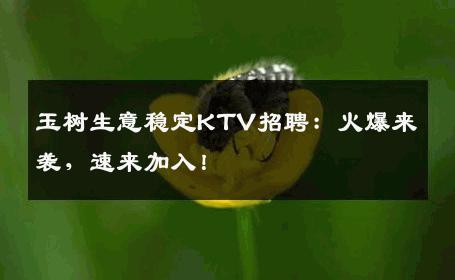 玉树生意稳定KTV招聘：火爆来袭，速来加入！