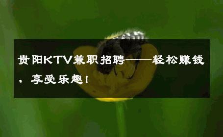 贵阳KTV兼职招聘——轻松赚钱，享受乐趣！