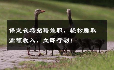 保定夜场招聘兼职，轻松赚取高额收入，立即行动！