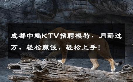 成都中端KTV招聘模特，月薪过万，轻松赚钱，轻松上手！