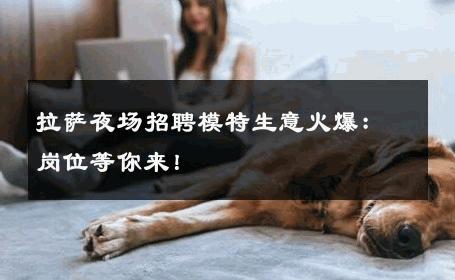 拉萨夜场招聘模特生意火爆：岗位等你来！