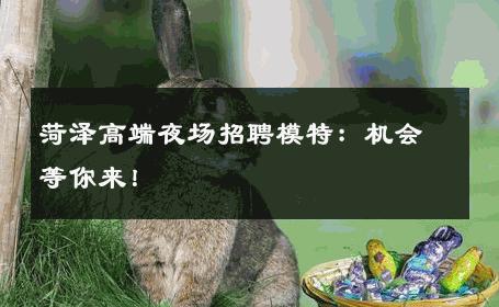 菏泽高端夜场招聘模特：机会等你来！
