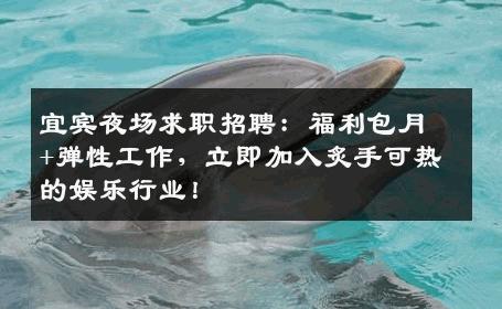 宜宾夜场求职招聘：福利包月+弹性工作，立即加入炙手可热的娱乐行业！