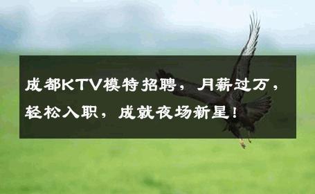 成都KTV模特招聘，月薪过万，轻松入职，成就夜场新星！
