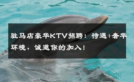 驻马店豪华KTV招聘：待遇+奢华环境，诚邀你的加入！